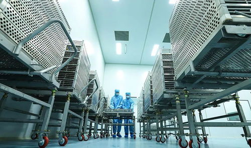 科技賦能植物工廠，張掖農特產品提質增效