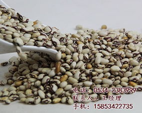 東旭糧油·五谷雜糧養生坊 重塑健康飲食新篇章